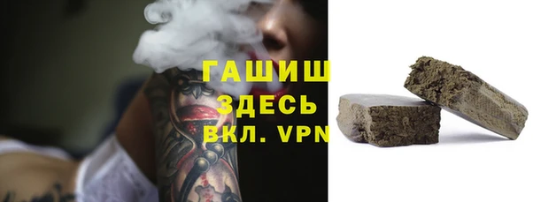 МДПВ Дмитриев