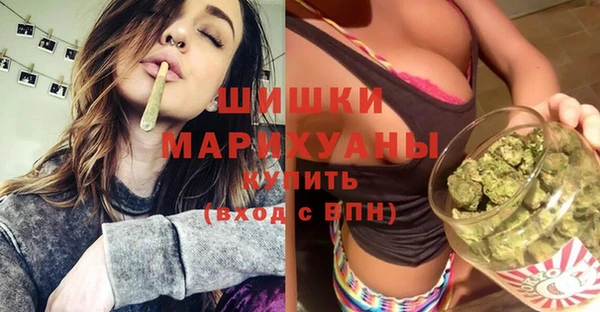 МДПВ Дмитриев