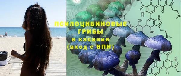 МДПВ Дмитриев