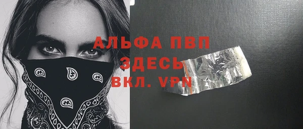 МДПВ Дмитриев