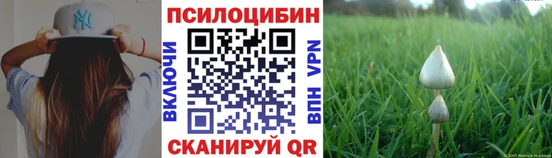 Купить  Кизляр  Псилоцибиновые грибы ЛСД 